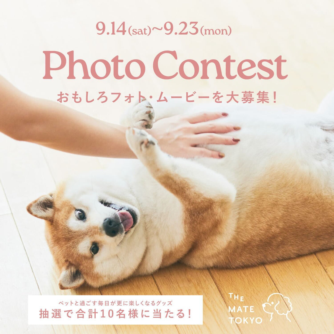 \犬用シャンプーが当たる!/【わんちゃん、いつも「くすっ」と笑わせてくれてありがとう】面白フォト・動画コンテストを開催