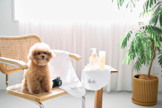 犬用シャンプーブランドのスタッフが考える犬にやさしいスキンケアの方法|成分透明性×低刺激の犬用シャンプー