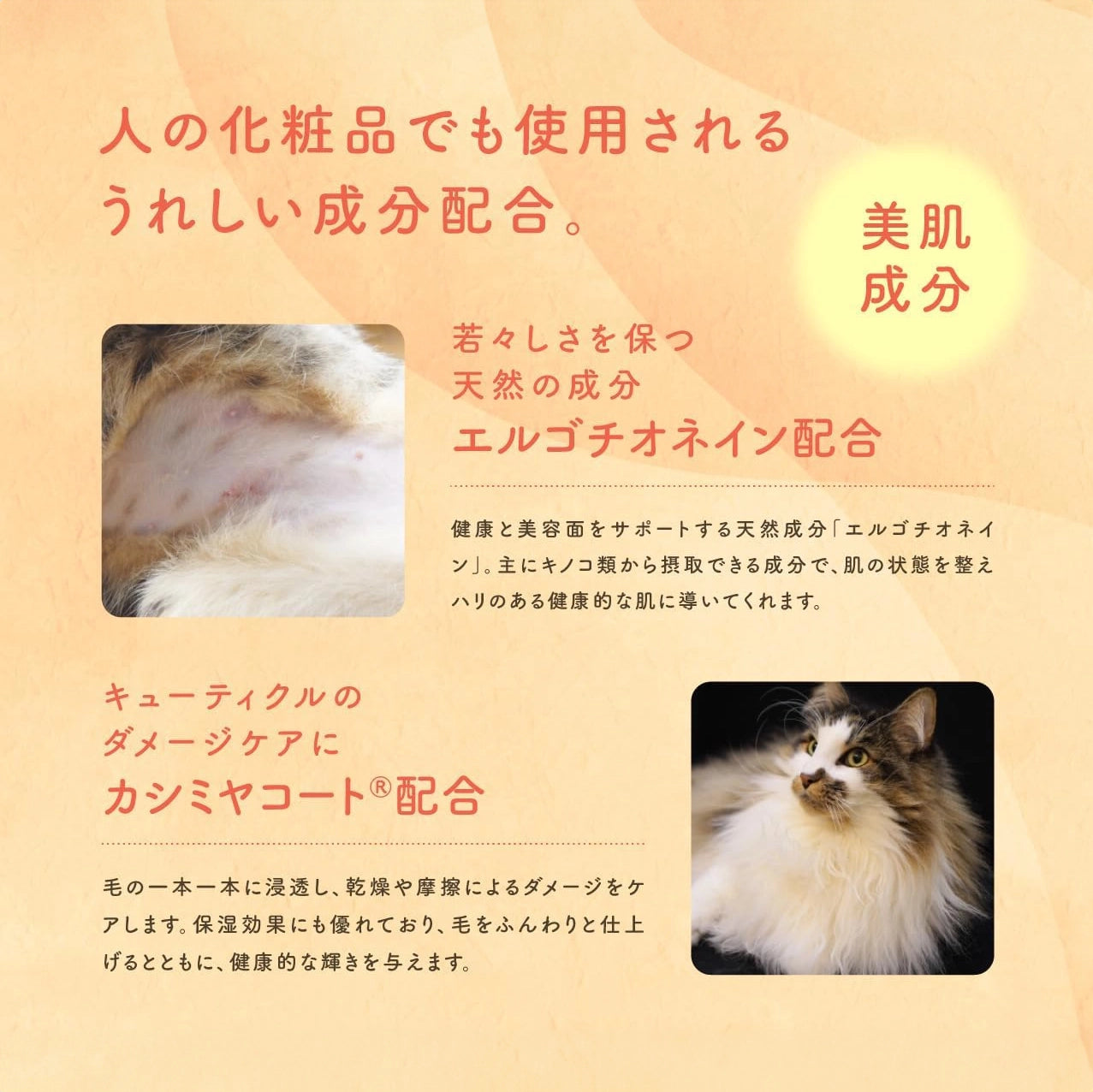 【MATE SELECT】【獣医師監修】PetcareDr.PRO グルーミングスプレー 300ml