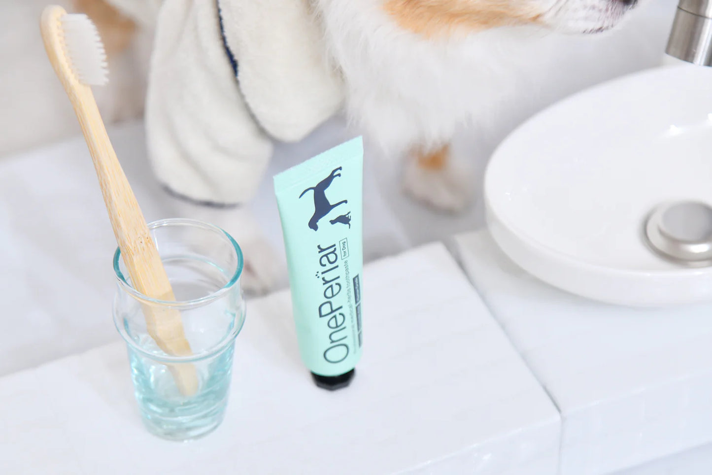 【MATE SELECT】OnePeriar|歯科医師開発 犬猫両用歯磨き粉