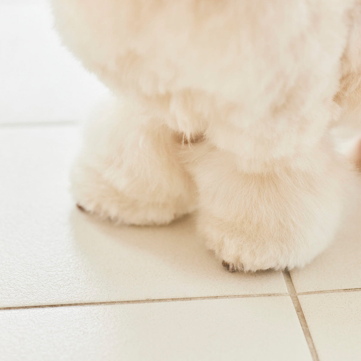 【入荷いたしました】シルクヘアパック(トリートメント)175mL