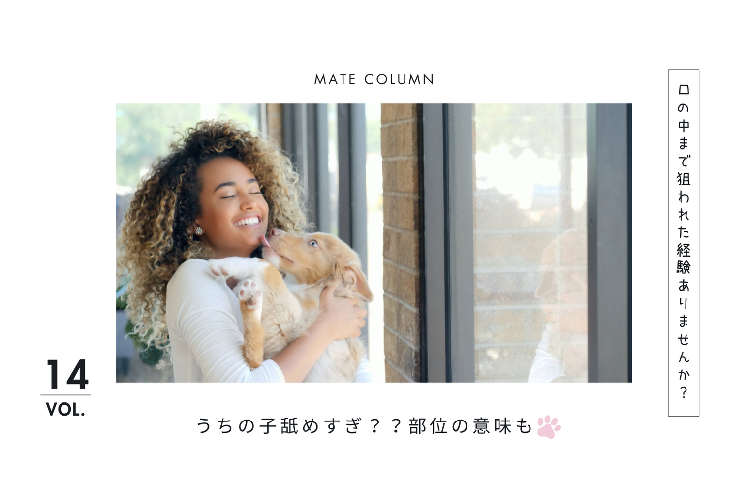 犬が飼い主を舐める理由｜愛情？それとも別の意味？