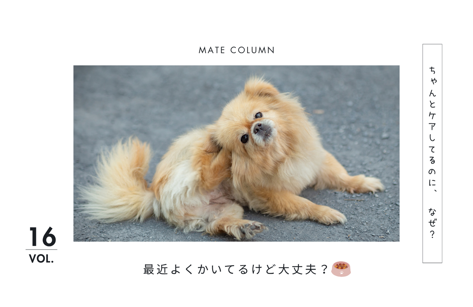愛犬がかゆがるのはなぜ？