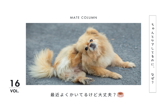 愛犬がかゆがるのはなぜ？