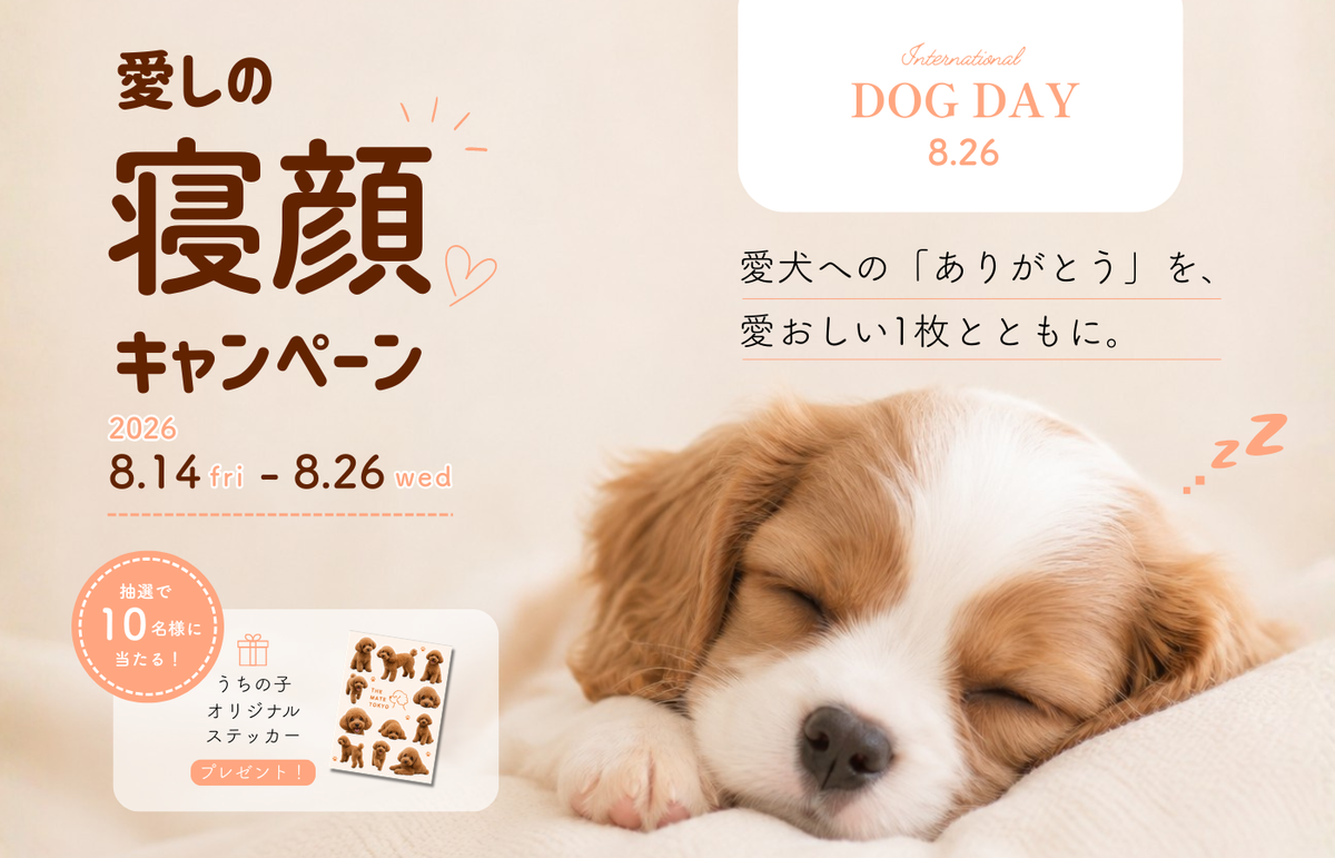 International Dog Day｜「愛しの寝顔キャンペーン」