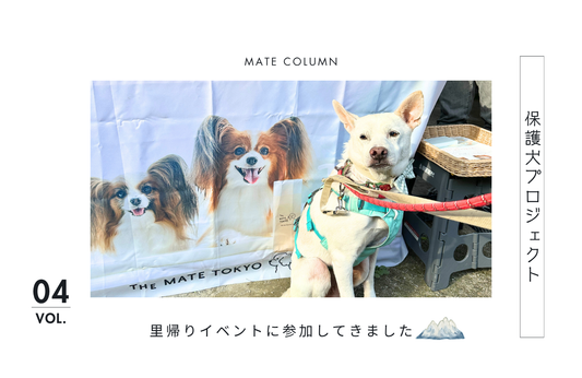 卒業ワンコたちの里帰りイベントに参加してきました！