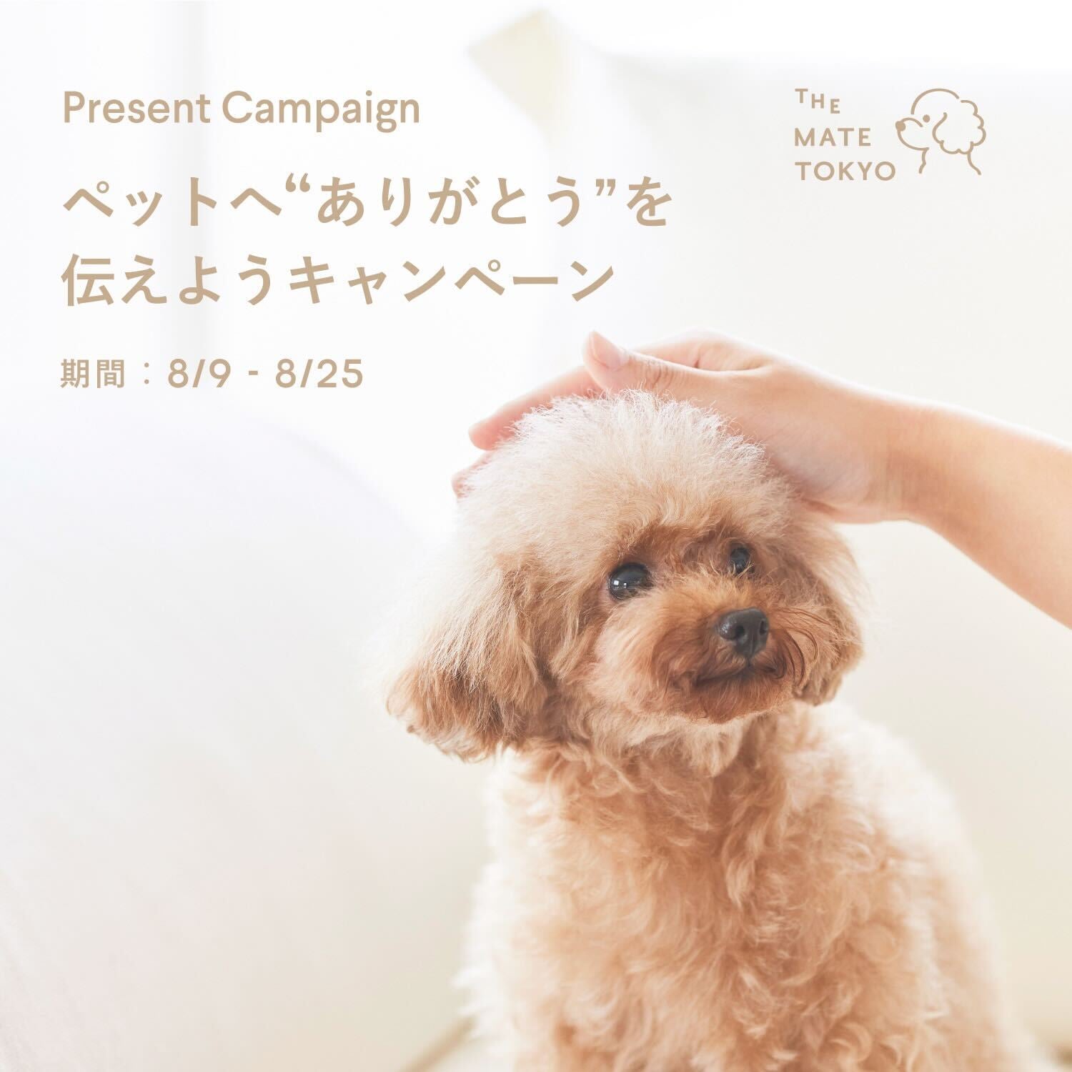 ”8月25日まで”最大18名様に賞品が当たる♪「ペットへありがとうを伝えよう キャンペーン 」開催中！！