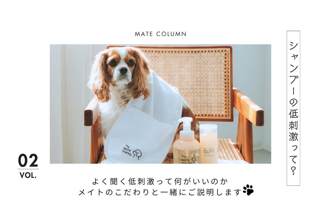 犬用低刺激シャンプーの真実。メイトが守る“洗うたび整う”5つのやさしさ
