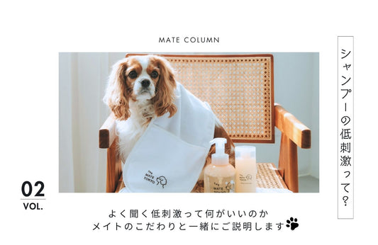 犬用低刺激シャンプーの真実。メイトが守る“洗うたび整う”5つのやさしさ