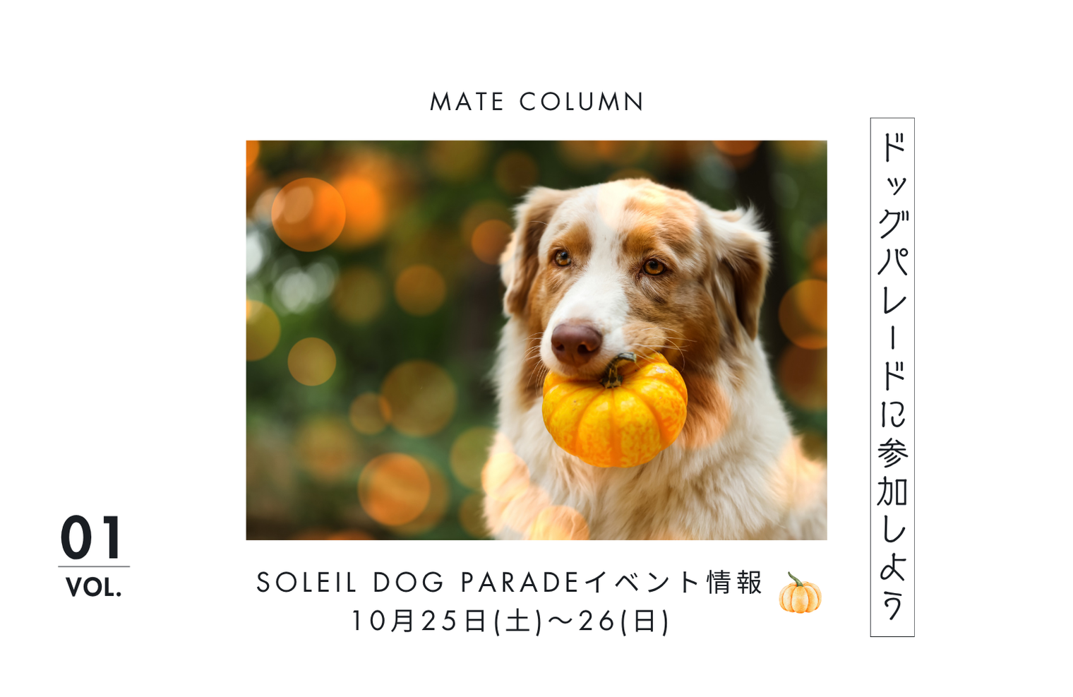 10月25日・26日開催！ソレイユの丘『HALLOWEEN DOG PARADE 2025』に出店します