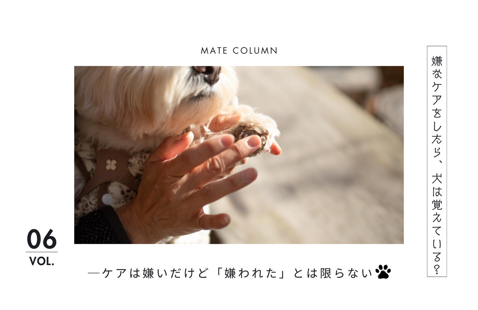 嫌なケアをしたら犬は覚えている？ 犬が距離を取る理由と正しいケア後の対応