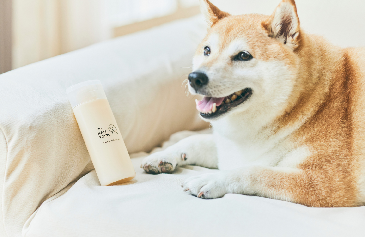 乾燥が気になる？ 犬の“スキンケア”にトリーメントという選択