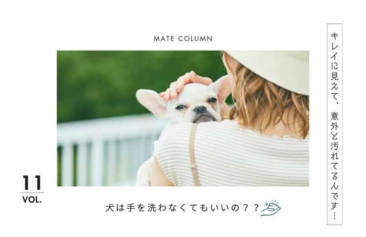 毎日の「おかえり手洗い」という習慣