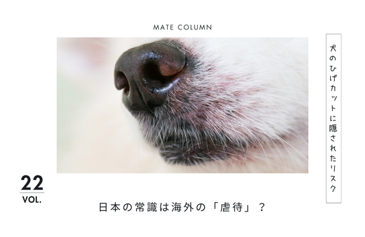 日本の常識は海外の「虐待」？犬のひげカットに隠されたリスクと本当に優しいケア