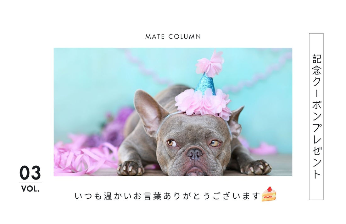 THE MATE TOKYO、3年目になりました。――日々のとなりで、これからも。