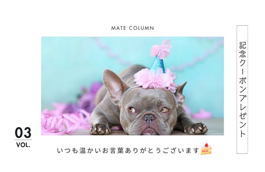 THE MATE TOKYO、3年目になりました。――日々のとなりで、これからも。