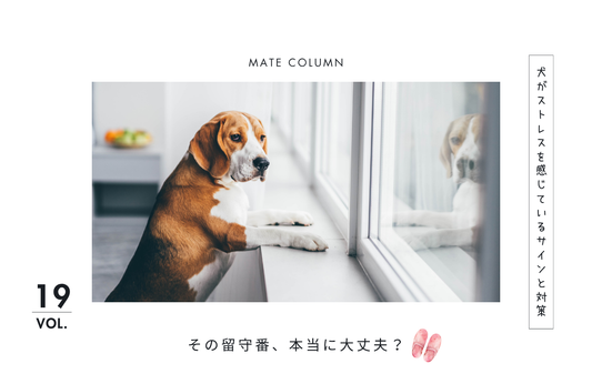 その留守番、本当に大丈夫？犬がストレスを感じているサインと対策