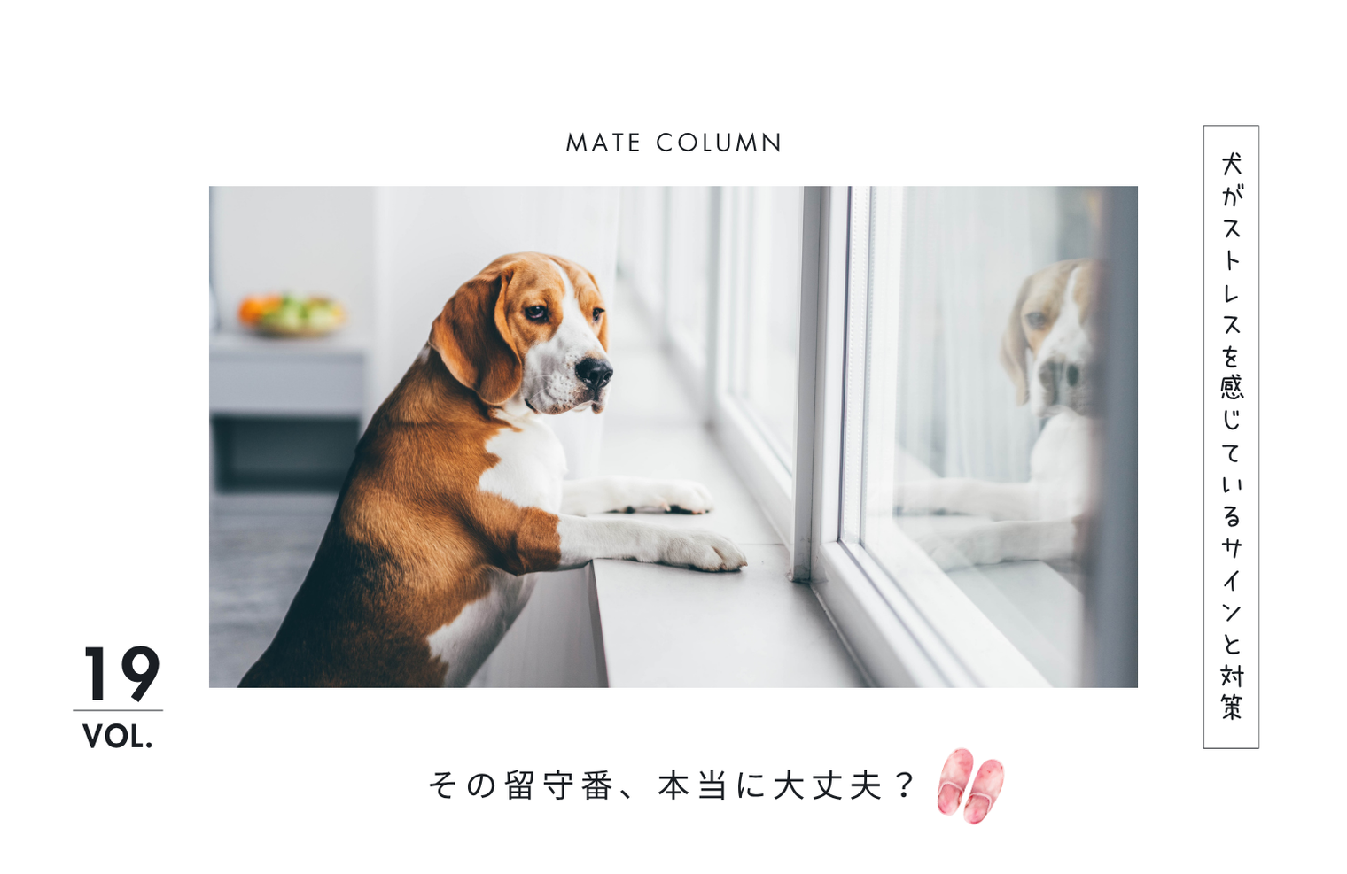 その留守番、本当に大丈夫？犬がストレスを感じているサインと対策