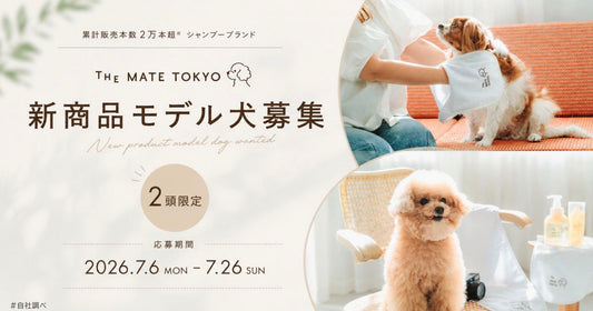 新商品モデル犬募集キャンペーン