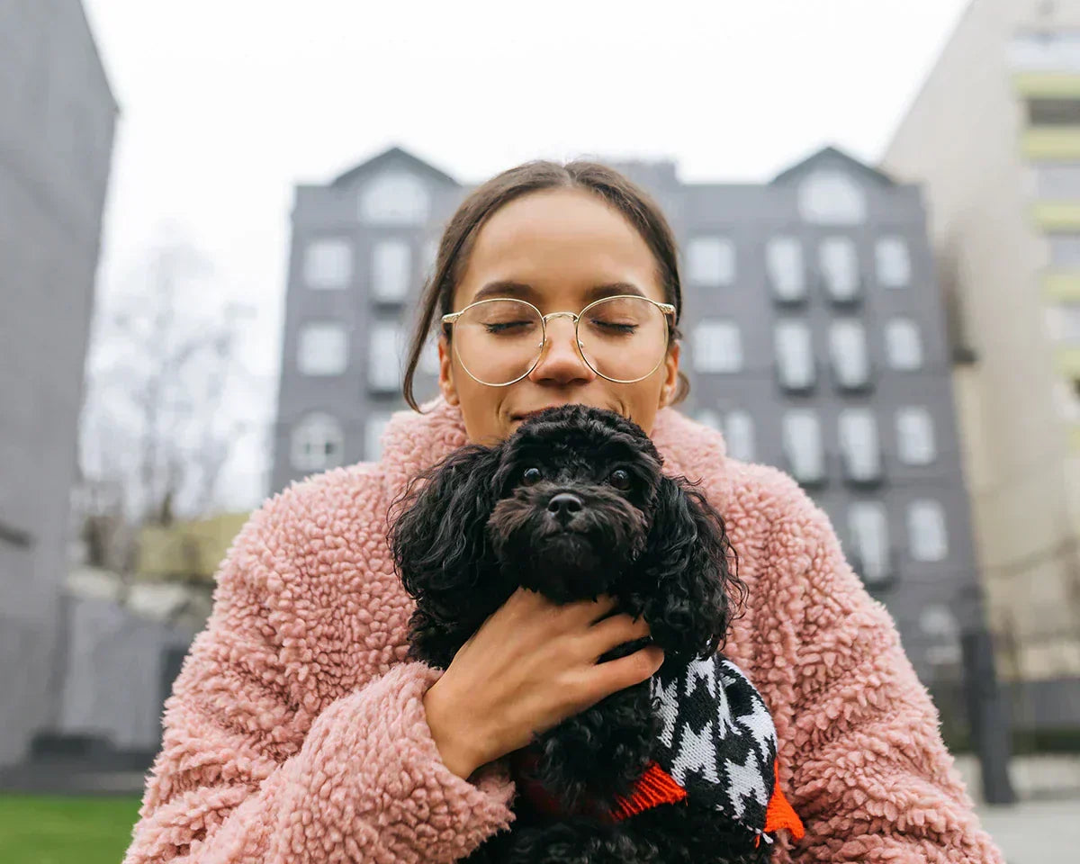 犬種によって変わるニオイと原因・対策を徹底解説｜愛犬の体臭ケア