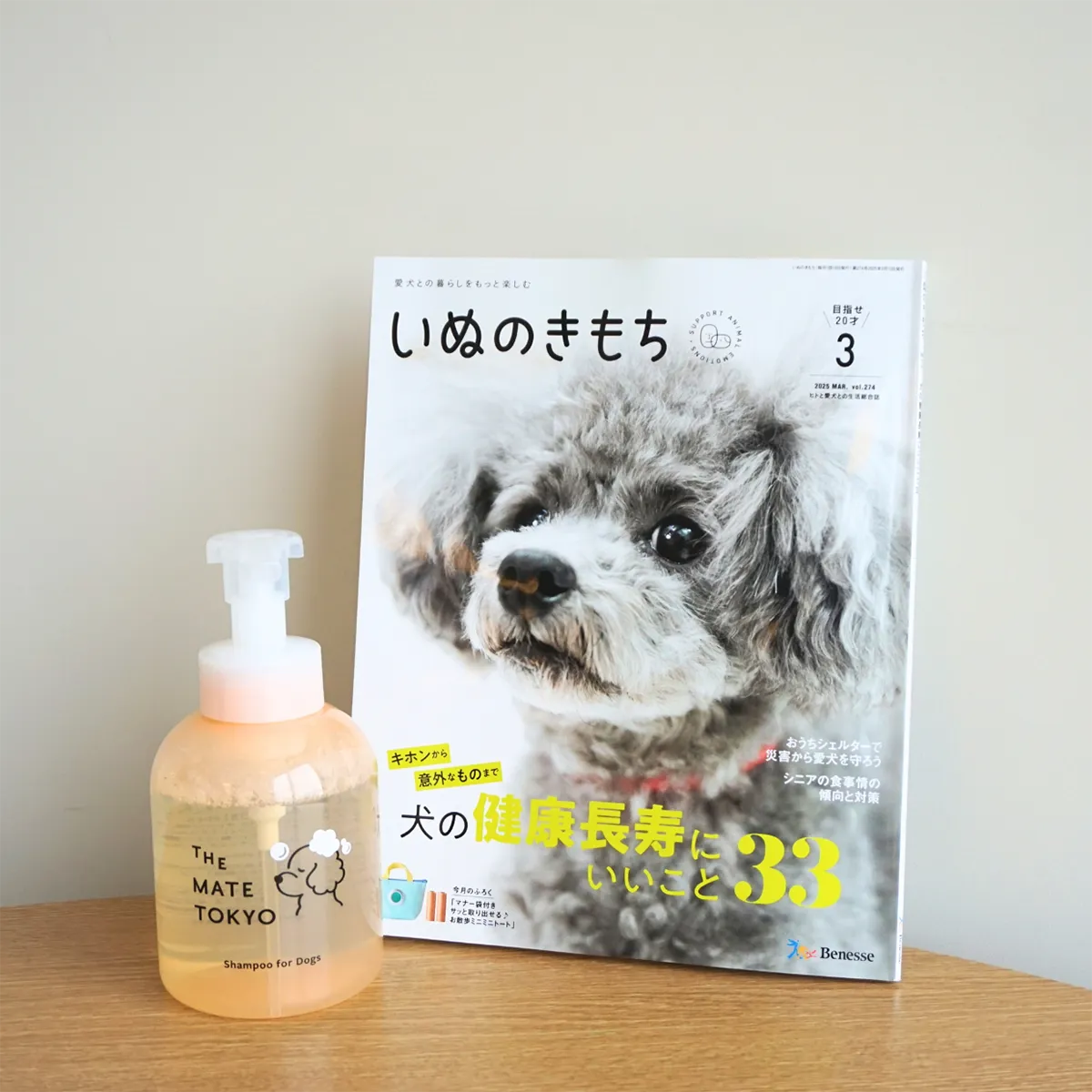 メディア掲載｜いぬのきもち3月号にてThe Mate Tokyoのシャンプーをご紹介いただきました。