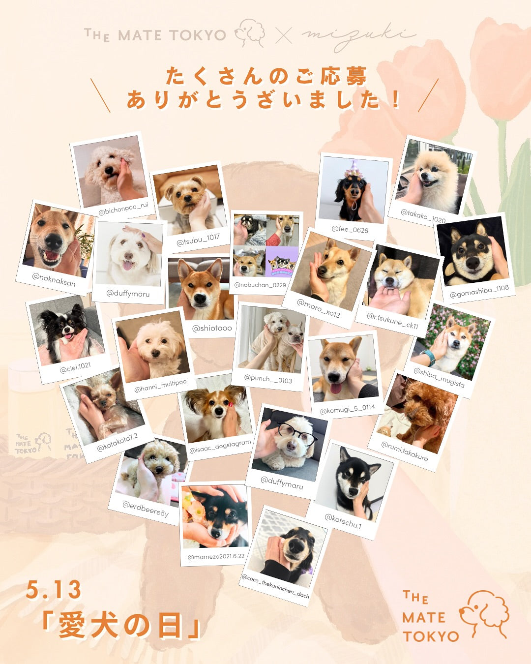 【キャンペーンレポート】｜Instagram「愛犬の日」キャンペーン当選者様に画像をお渡しいたしました。