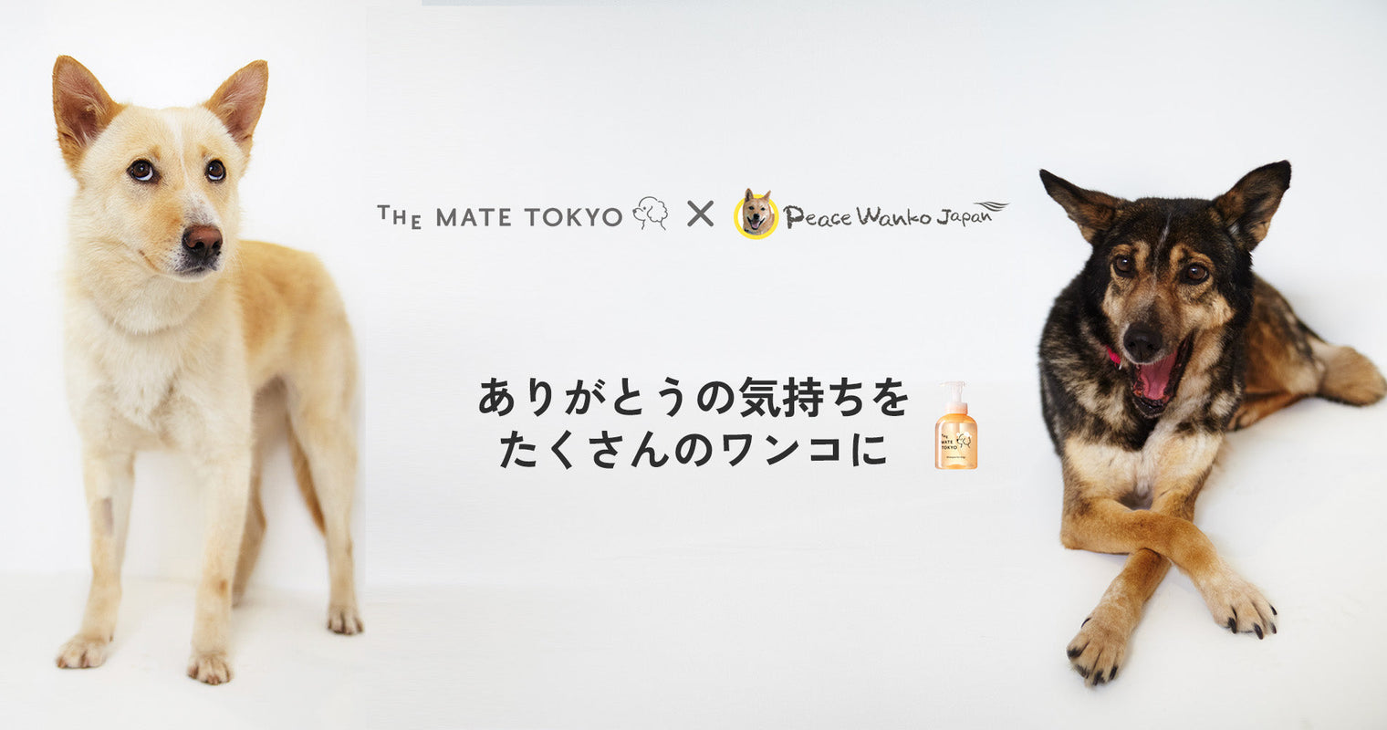プレスリリース｜犬の保護・譲渡活動を行う「ピースワンコ・ジャパン」とプロジェクトを開始