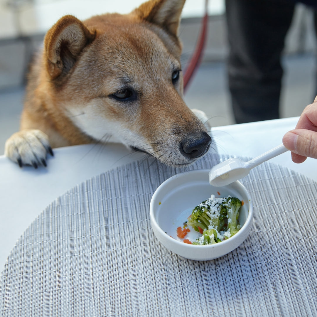 犬用・猫用｜毎日のごちそうヤギミルク（ホエイプロテイン）  50g