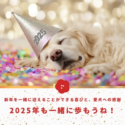 1月10日まで【2025年 HAPPYBAG】実質41%オフ｜メイトトーキョー福袋セット