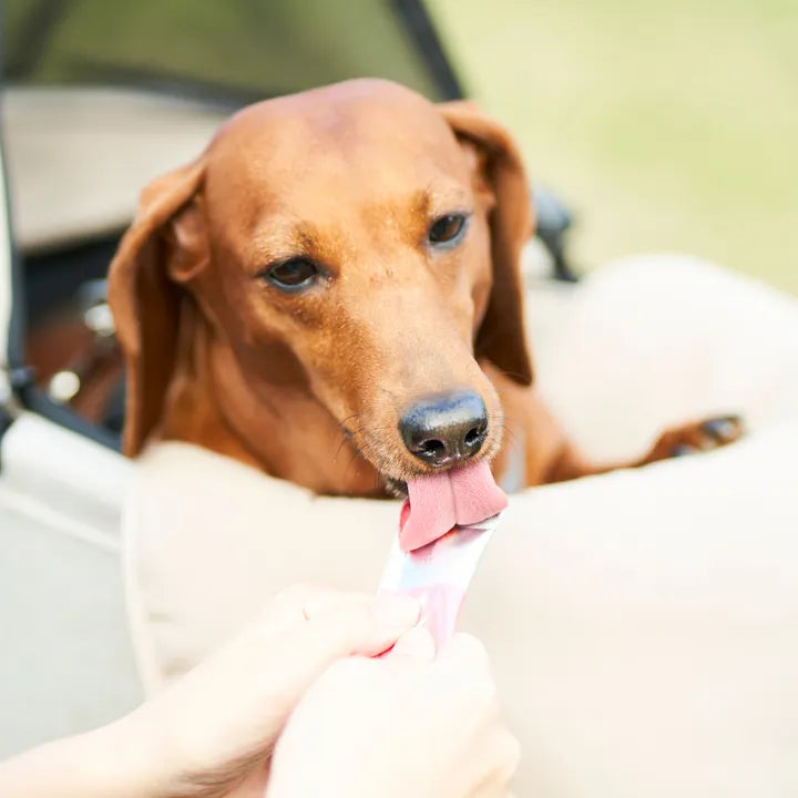 【MATE SELECT】犬用和菓子「わんこのあんこ　あんちゅーぶ」 1袋5本入り｜NEW