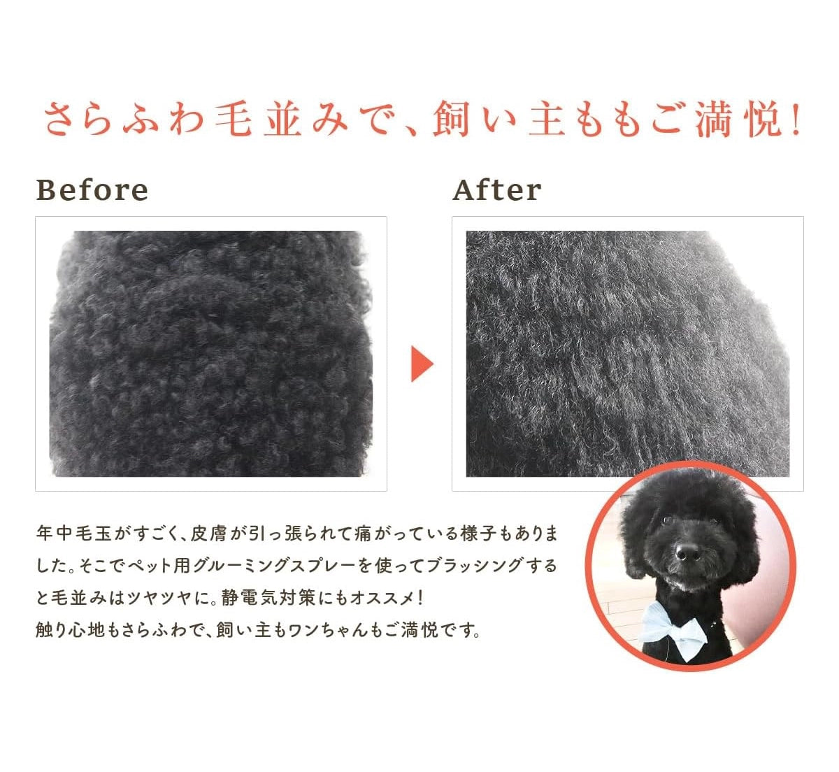 【MATE SELECT】【獣医師監修】PetcareDr.PRO グルーミングスプレー 300ml