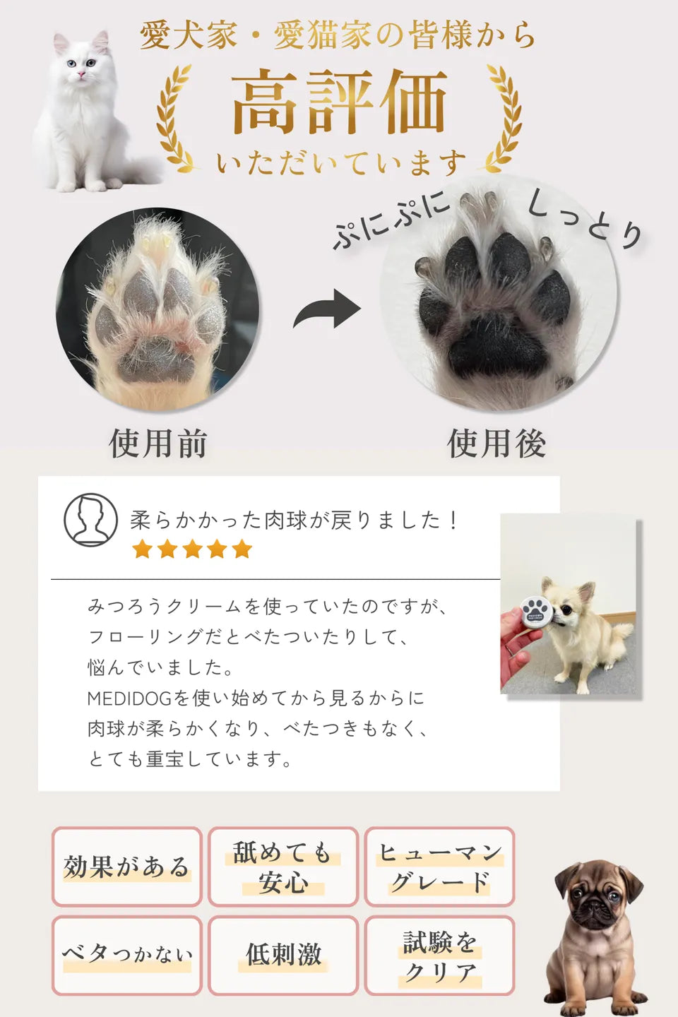 【MATE SELECT】【獣医師・薬剤師監修】MEDIDOG 肉球クリーム（犬・猫） 20g