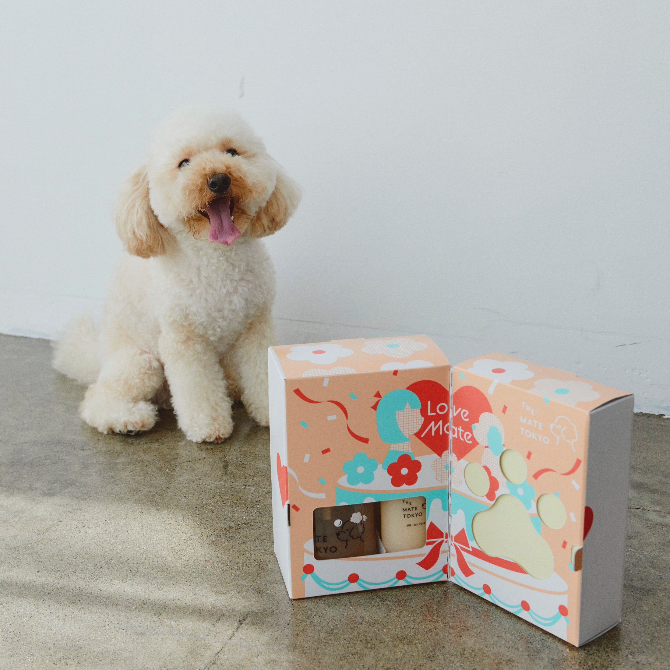 愛犬の記念日・シャンプーデビュー時に「Happy Bath Box」｜ギフトボックス メッセージカード付き