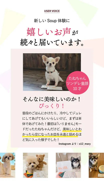 【MATE SELECT】犬のボーンブロススープ｜NEW
