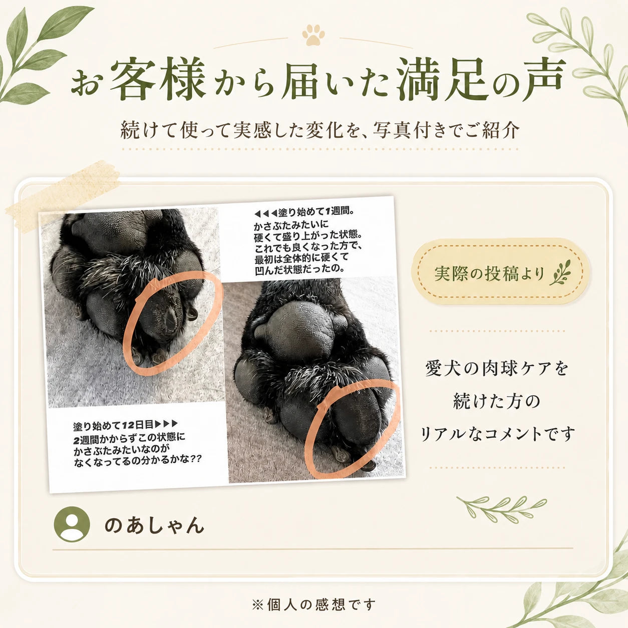 肉球クリーム｜小豆島産オリーブ葉オイル使用