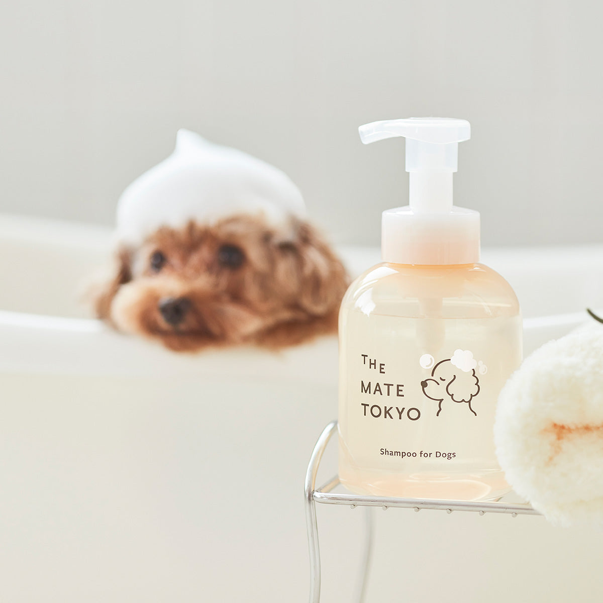 犬用 獣医師トリマー監修｜スキンケアシャンプー（泡タイプ）460 mL