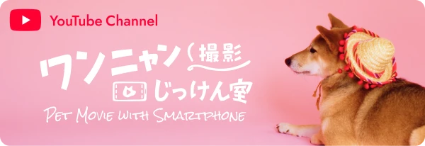 YouTubeチャンネル ワンニャン撮影じっけん室