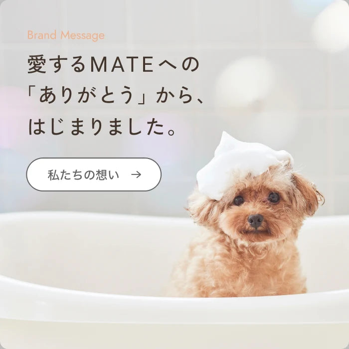 私たちの想い
