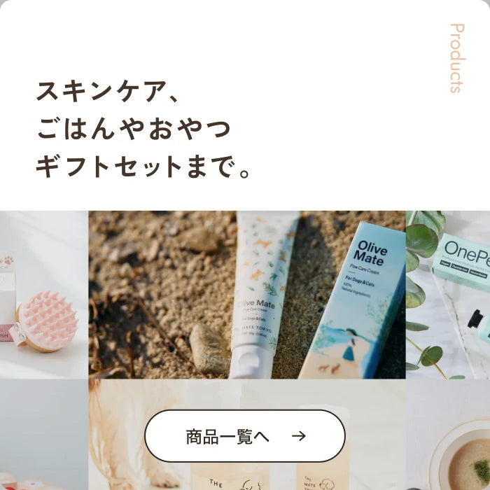 商品一覧へ
