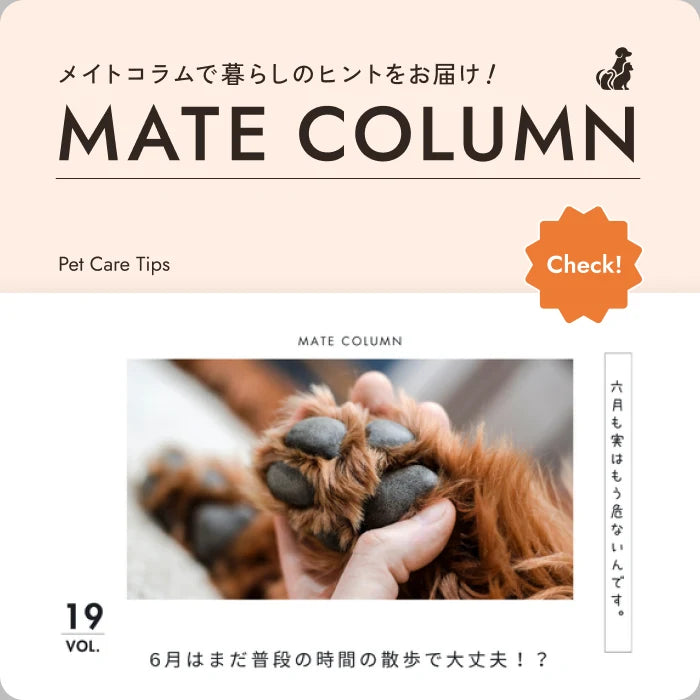 メイトコラムで暮らしのヒントをお届け