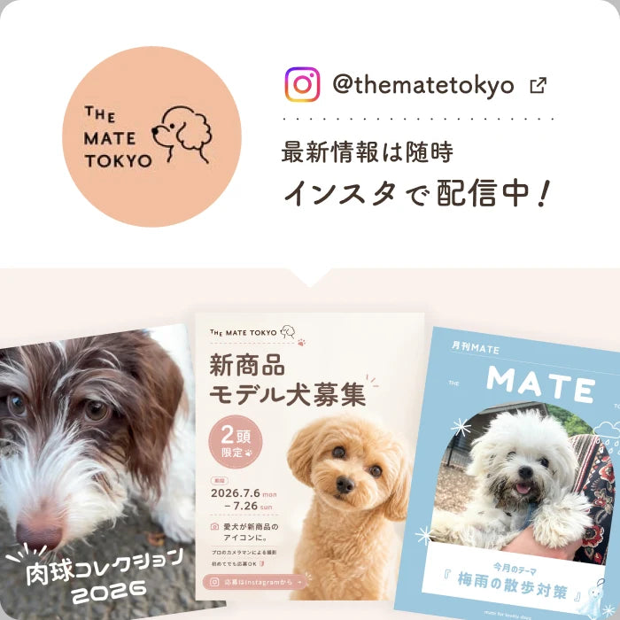 公式Instagramで最新情報を配信中