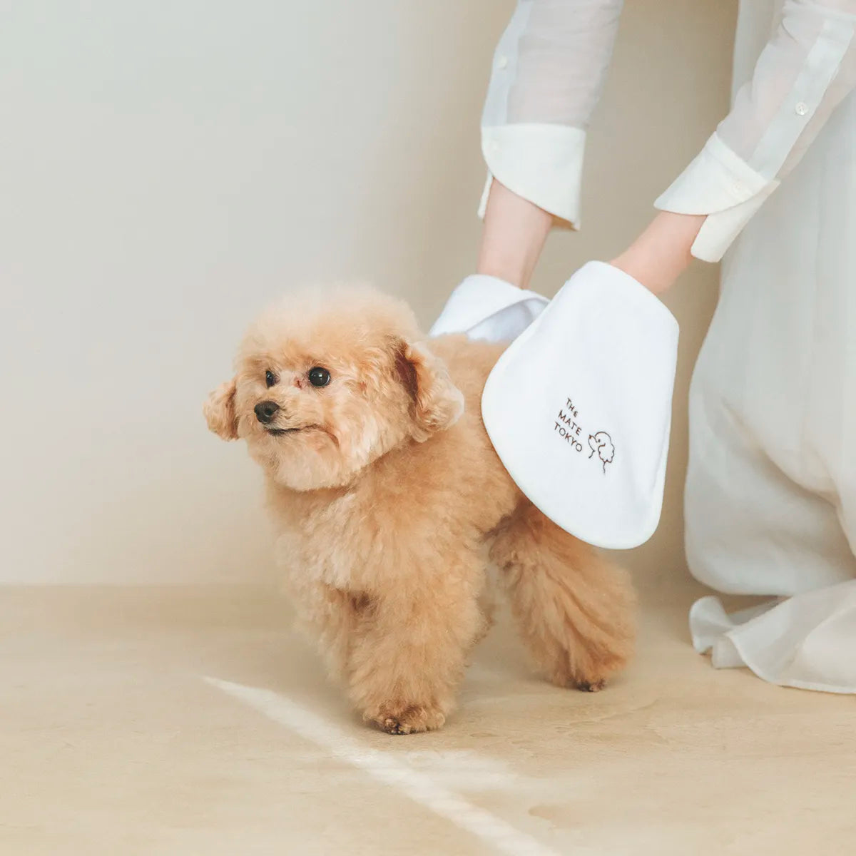 はぐっとワンタオル